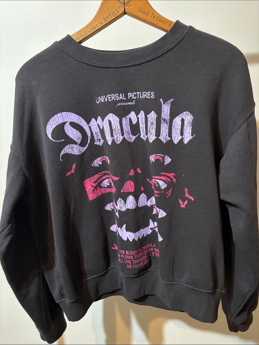 Divided Black Crewneck Sweatshirt with Pink & Purple Dracula Graphic